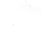 1004012 Poplin off white
