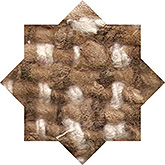 2004003 Wildzijde Tussah natuur 3 kleuren