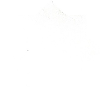 1004012 Poplin off white