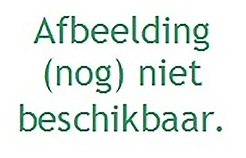 Canvas half gebleekt